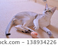 A Singapura cat lies on a cork mat, playing with a mouse toy with its testicles exposed. 138934226