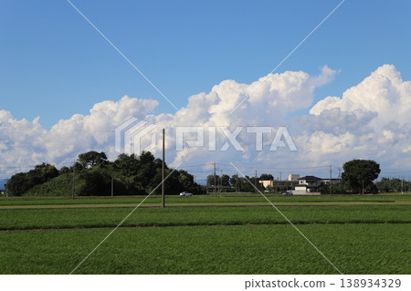 夏季鄉村景觀 - 埼玉縣行田市中里地區 夏季鄉村景觀 - 埼玉縣行田市中里地區 138934329
