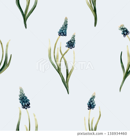 Blue Muscari Seamless Pattern Spring Bulb Flowers. Watercolor hand drawn floral illustration isolated on light blue background Easter Woman's day design textile fresh print cosmetic package crockery Blue Muscari Seamless Pattern Spring Bulb Flowers. Watercolor hand drawn floral illustration isolated on light blue background Easter Woman's day design textile fresh print cosmetic package crockery 138934460