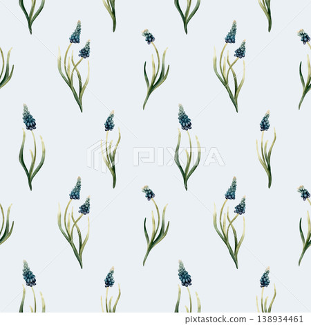 Blue Muscari Seamless Pattern Spring Bulb Flowers. Watercolor hand drawn floral illustration isolated on light blue background Easter Woman's day design textile fresh print cosmetic package crockery Blue Muscari Seamless Pattern Spring Bulb Flowers. Watercolor hand drawn floral illustration isolated on light blue background Easter Woman's day design textile fresh print cosmetic package crockery 138934461