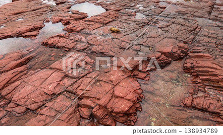 Layered deep red sedimentary rock formations with fractures and water pools in the seaside which is a remote coastal spots in Hung Shek Mun (Red Stone Gate), Plover Cove Country Park, Hong Kong Layered deep red sedimentary rock formations with fractures and water pools in the seaside which is a remote coastal spots in Hung Shek Mun (Red Stone Gate), Plover Cove Country Park, Hong Kong 138934789