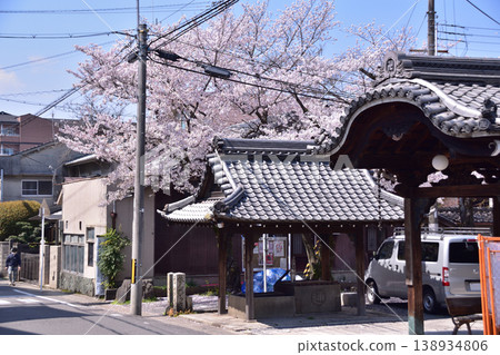 Cherry blossoms at Rokkakudo Temple in Yamashina, Kyoto Cherry blossoms at Rokkakudo Temple in Yamashina, Kyoto 138934806