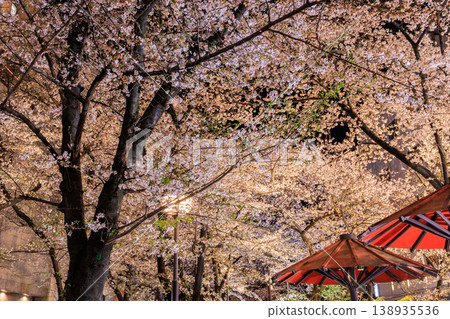Cherry blossom illumination at Gion Shirakawa in Kyoto (Higashiyama Ward, Kyoto City, Kyoto Prefecture) Cherry blossom illumination at Gion Shirakawa in Kyoto (Higashiyama Ward, Kyoto City, Kyoto Prefecture) 138935536