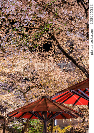 京都祇園白川的櫻花燈光秀(京都府京都市東山區) 京都祇園白川的櫻花燈光秀(京都府京都市東山區) 138935538