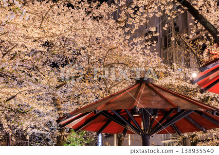 京都祇園白川的櫻花燈光秀（京都府京都市東山區） 138935540