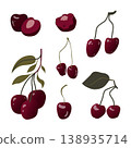 Cherry fruit and leaves set with whole sliced and hanging bunches flat minimal botanical illustration isolated on white 138935714