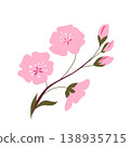 Pink cherry blossom branch with buds minimal flat floral illustration isolated on white spring botanical design 138935715