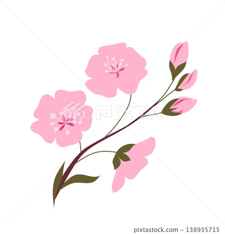 Pink cherry blossom branch with buds minimal flat floral illustration isolated on white spring botanical design Pink cherry blossom branch with buds minimal flat floral illustration isolated on white spring botanical design 138935715