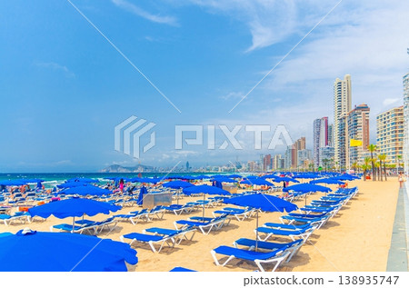 Levante sandy beach with chaise lounge and umbrellas, Playa Platja De Llevant in Benidorm city 138935747