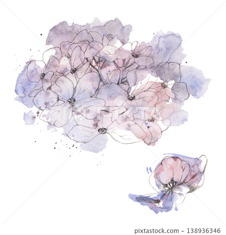 Soft hydrangea, spirea blossom, rhododendron or elderberry botanical illustration with hand drawn pencil lines and watercolor bleed texture. Romantic stationery, floral brand, printable love cards. Soft hydrangea, spirea blossom, rhododendron or elderberry botanical illustration with hand drawn pencil lines and watercolor bleed texture. Romantic stationery, floral brand, printable love cards. 138936346