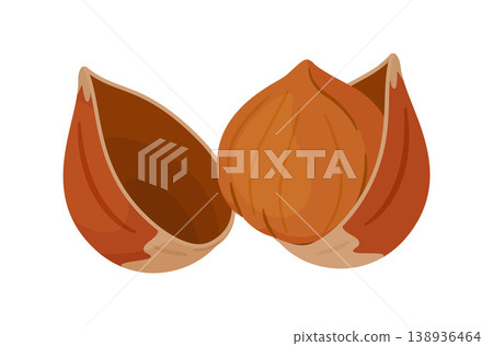 Hazelnut kernel placed between two empty halves of its shell. Hand drawn flat style isolated Hazelnut kernel placed between two empty halves of its shell. Hand drawn flat style isolated 138936464