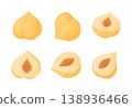 Flat vector set of peeled hazelnut kernels, whole nuts and half cuts. isolated 138936466