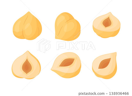 Flat vector set of peeled hazelnut kernels, whole nuts and half cuts. isolated 138936466