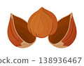 Hazelnut kernel placed between two empty halves of its shell. Hand drawn flat style isolated 138936467