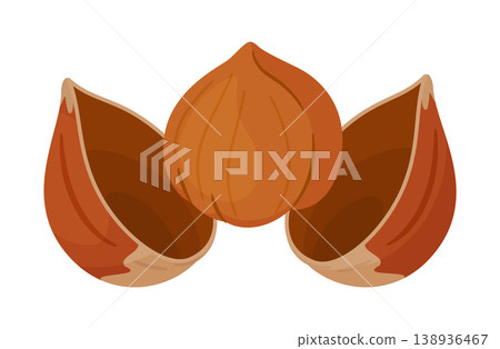 Hazelnut kernel placed between two empty halves of its shell. Hand drawn flat style isolated Hazelnut kernel placed between two empty halves of its shell. Hand drawn flat style isolated 138936467