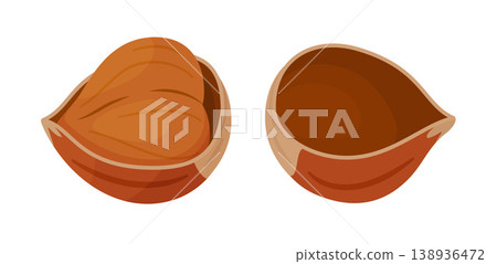Hazelnut, one half hazelnut shell with kernel inside and one empty shell half. flat style 138936472