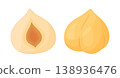 Hazelnut kernels, one whole smooth nut and half. trendy flat style isolated 138936476