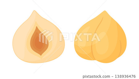 Hazelnut kernels, one whole smooth nut and half. trendy flat style isolated 138936476