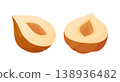 Two halves of hazelnut, exposing inner kernel structure. Hand drawn flat style isolated 138936482