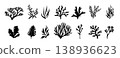 Coral template design silhouette vector.  138936623