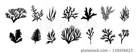 Coral template design silhouette vector.  138936623