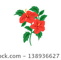 Silhouette tropical black hibiscus vector flowers set.  138936627