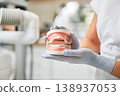 Dental specialist presents jaw sample with braces in sterile clinic setting. Detailed orthodontic close up for healthcare promotion, treatment guidance, patient information materials 138937053