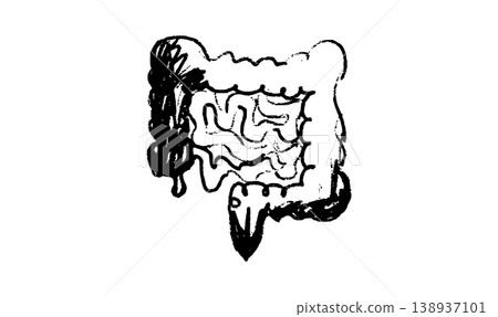 Human intestine sketch Human intestine sketch 138937101