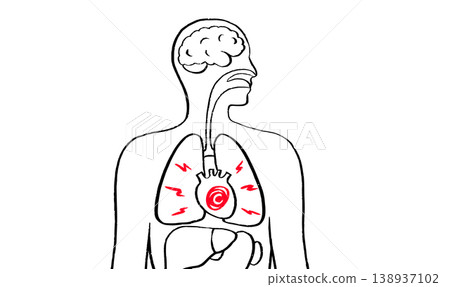 Human heart sketch Human heart sketch 138937102