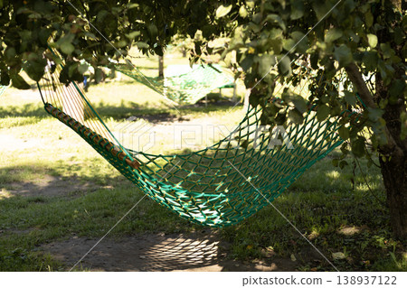 Vibrant Green Hammock Hanging in a Shady Summer Garden Vibrant Green Hammock Hanging in a Shady Summer Garden 138937122