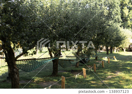 Row of Hammocks Suspended Between Trees in a Serene Outdoor Area Row of Hammocks Suspended Between Trees in a Serene Outdoor Area 138937123