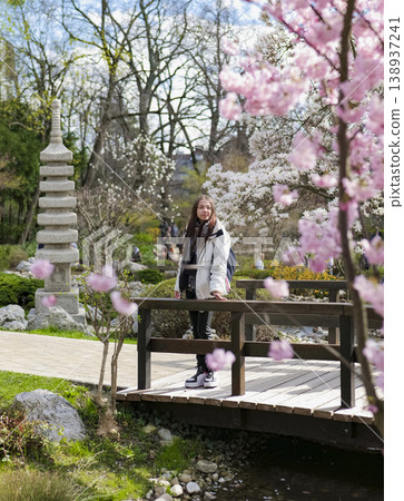 Woman enjoying cherry blossoms in a tranquil Japanese garden. Early nature awakening. 138937241