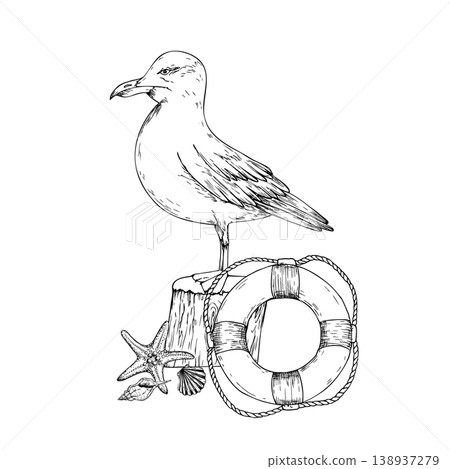Vector seagull composition. Hand painted linear starfish, shells, lifebuoy, bird illustration. Graphic monochrome sketch isolated on background. For designers, prints, logo, icon, menu, postcards Vector seagull composition. Hand painted linear starfish, shells, lifebuoy, bird illustration. Graphic monochrome sketch isolated on background. For designers, prints, logo, icon, menu, postcards 138937279