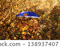 On a sunny day, a blue umbrella with leaves lies on the maple leaves in the park. Autumn concept 138937407