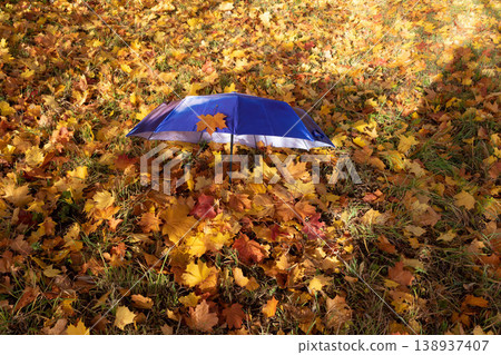 On a sunny day, a blue umbrella with leaves lies on the maple leaves in the park. Autumn concept On a sunny day, a blue umbrella with leaves lies on the maple leaves in the park. Autumn concept 138937407
