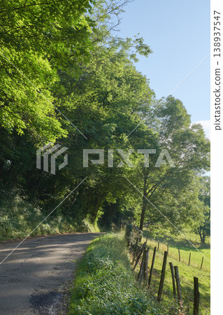 Countryside road through agricultural fields shaded by trees against a clear blue sky. Quiet nature landscape of woods and field or meadow on an empty path. On route to a quiet and peaceful place Countryside road through agricultural fields shaded by trees against a clear blue sky. Quiet nature landscape of woods and field or meadow on an empty path. On route to a quiet and peaceful place 138937547