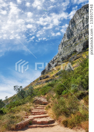 A scenic walking path in nature with greenery and plants against a blue sky with copy space. Hiking trail leading up the mountain on Lions Head and Table Mountain in a National Park in Cape Town. A scenic walking path in nature with greenery and plants against a blue sky with copy space. Hiking trail leading up the mountain on Lions Head and Table Mountain in a National Park in Cape Town. 138937548
