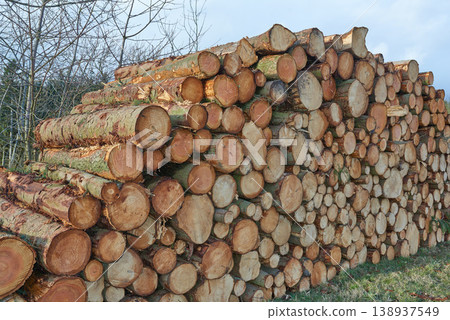 Wooden logs Wooden logs 138937549