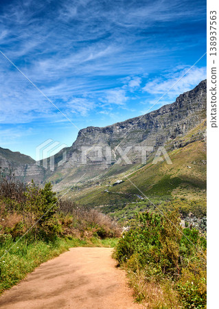 Beautiful mountain trail with bushes and plants with a cloudy blue sky and copy space. A popular destination for tourist in Table Mountain National park on Lions Head in Cape Town South Africa Beautiful mountain trail with bushes and plants with a cloudy blue sky and copy space. A popular destination for tourist in Table Mountain National park on Lions Head in Cape Town South Africa 138937563