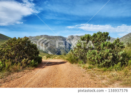 Dirt road leading to mountains with lush green plants and bushes growing along the path with a blue sky background. Landscape view of quiet scenery in a beautiful nature reserve with copy space Dirt road leading to mountains with lush green plants and bushes growing along the path with a blue sky background. Landscape view of quiet scenery in a beautiful nature reserve with copy space 138937576