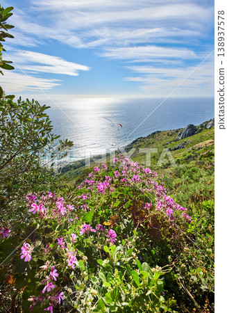 Quiet ocean view from a mountain landscape with vibrant malva flowers and greenery against a calm sea and cloudy blue horizon. Secluded nature walking trail in South Africa in summer with copy space Quiet ocean view from a mountain landscape with vibrant malva flowers and greenery against a calm sea and cloudy blue horizon. Secluded nature walking trail in South Africa in summer with copy space 138937578