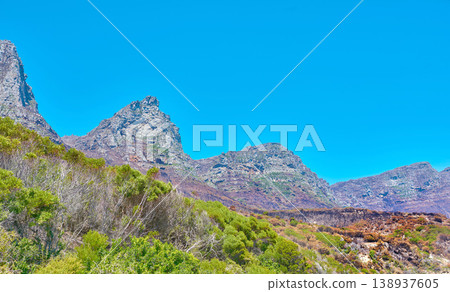 Copyspace and landscape of The Twelve Apostles mountain with lush pasture, flowers and blue sky copy space. Vegetation on a grassy slope or cliff with hiking trails to explore Cape Town, South Africa 138937605