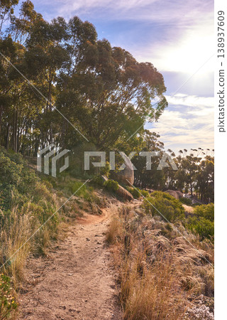 Beautiful mountain trail on Table Mountain National Park in Cape Town, South Africa. A mountainous walking path surrounded by green bushes and trees for a relaxing nature walk or adventure hike Beautiful mountain trail on Table Mountain National Park in Cape Town, South Africa. A mountainous walking path surrounded by green bushes and trees for a relaxing nature walk or adventure hike 138937609