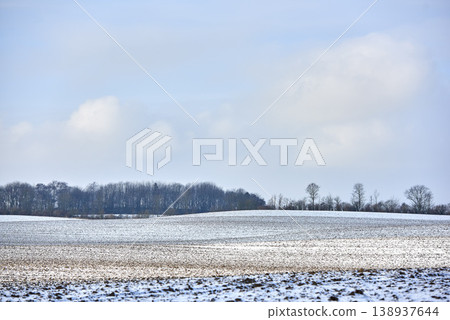 Open field with snow in winter on a farm with copy space during the day in nature. Landscape of frozen icy grass in a snowy open field and forest trees in the background in the cold countryside Open field with snow in winter on a farm with copy space during the day in nature. Landscape of frozen icy grass in a snowy open field and forest trees in the background in the cold countryside 138937644