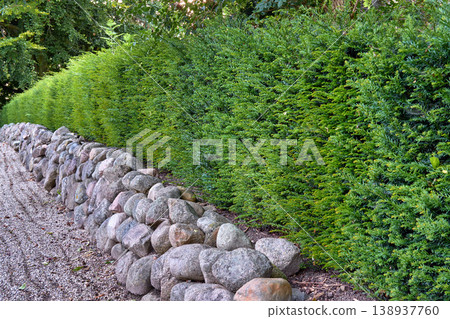 Landscaping with rocks and ferns as a boundary wall with copy space. Plants and shrubs growing in a hedge in a lush garden. Exterior architecture with a rocky fence enclosure in nature outdoors Landscaping with rocks and ferns as a boundary wall with copy space. Plants and shrubs growing in a hedge in a lush garden. Exterior architecture with a rocky fence enclosure in nature outdoors 138937760