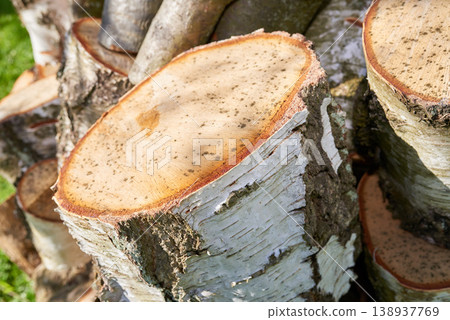 Chopped tree logs from the forest. Closeup of brown wooden texture background of stumps of cut firewood in a lumberyard. Collecting dry timber split hardwood material for winter and deforestation 138937769