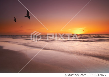Seascape and landscape of a golden sunset on the west coast of Jutland in Loekken, Denmark. Beautiful cloudscape on an empty beach at dusk. Birds flying over the ocean in the evening with copyspace Seascape and landscape of a golden sunset on the west coast of Jutland in Loekken, Denmark. Beautiful cloudscape on an empty beach at dusk. Birds flying over the ocean in the evening with copyspace 138937877