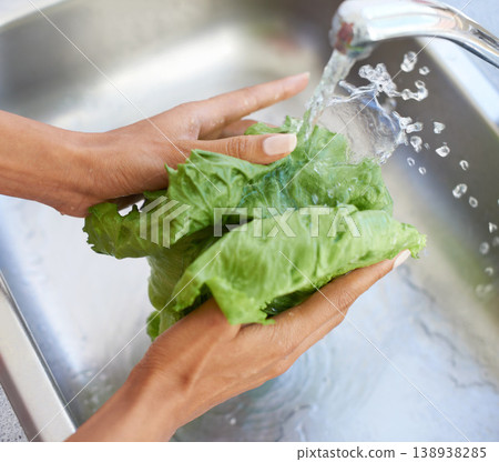 Woman, hands and washing lettuce in water or sink for fresh produce, natural vegetables or health in kitchen at home. Closeup of female person or vegan rinsing organic vegetable for salad preparation 138938285