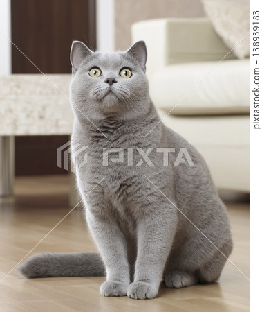Charming shorthair cat enjoys a cozy moment on oak wooden floor Generative AI 138939183