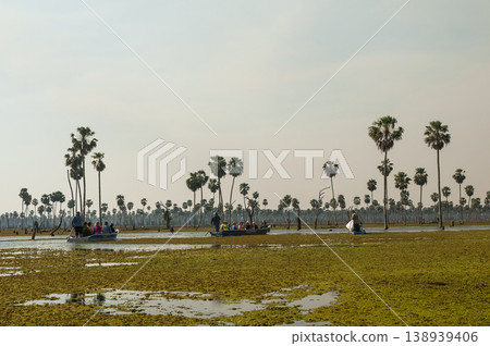 Tourists observing nature in La Estrella Marsh, Formosa province, Argentina. Tourists observing nature in La Estrella Marsh, Formosa province, Argentina. 138939406